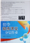 2024年伴你學(xué)精練課堂分層作業(yè)九年級歷史上冊人教版臨沂專版