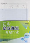 2024年伴你學(xué)精練課堂分層作業(yè)七年級(jí)數(shù)學(xué)上冊(cè)人教版臨沂專版