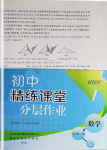 2024年伴你學精練課堂分層作業九年級數學上冊人教版臨沂專版