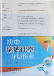 2024年伴你學(xué)精練課堂分層作業(yè)九年級道德與法治上冊人教版臨沂專版