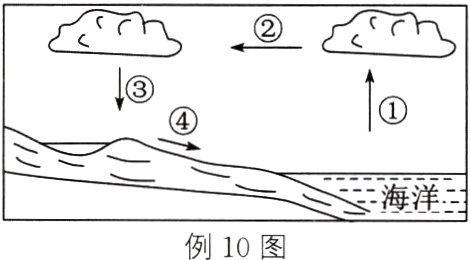 海洋二例10图