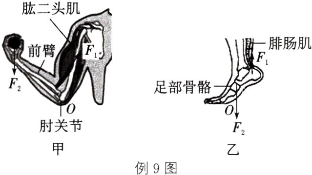 例9图