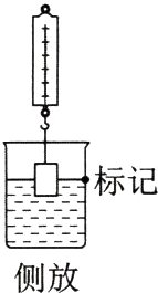 侧放