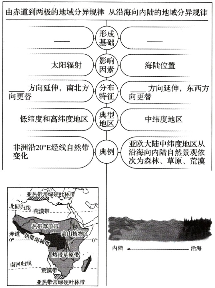 亚热带常徽硬叶林带