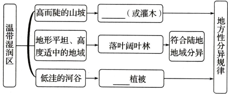 低洼的河谷植被