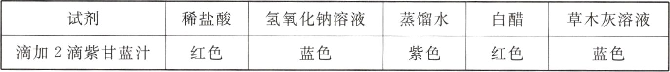 滴加2滴紫甘蓝汁红色蓝色紫色红色蓝色