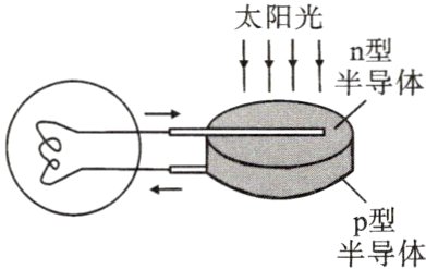 半体