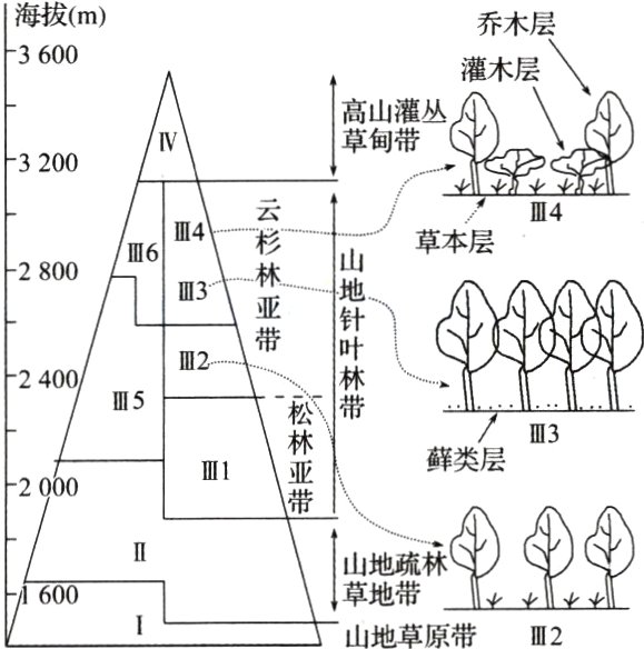 草地带山地草原带III2