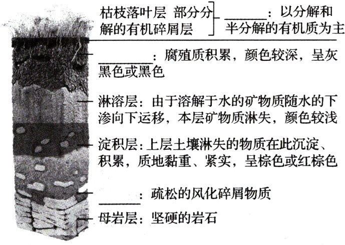 二母岩层坚硬的岩石