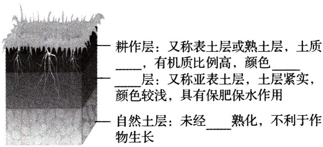 自然土层未经熟化不利于作物生长