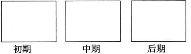 初期中期后期