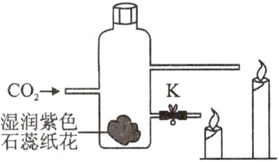 湿润紫色石蕊纸花