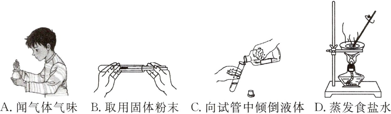 A闻气体气味B取用固体粉末C向试管中倾倒液体D蒸发食盐水