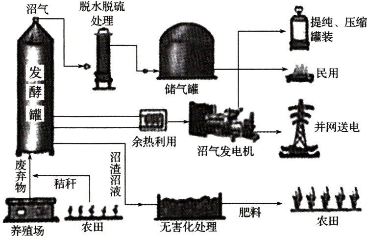 上装肥料农田无害化处理养殖场