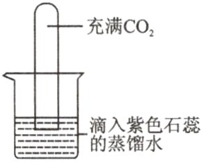滴入紫色石蕊的蒸馏水