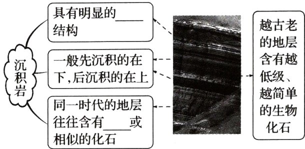 往往含有一或化石相似的化石