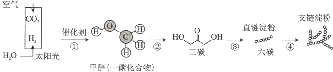 三碳六碳HO太阳光甲醇一碳化合物
