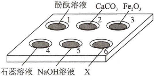 石蕊溶液NaOH溶液