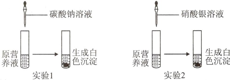 色沉淀养液L实验2实验1