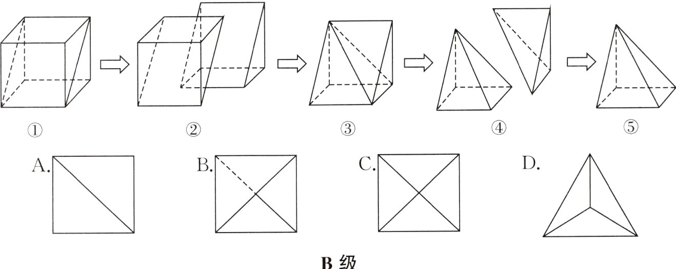 B级