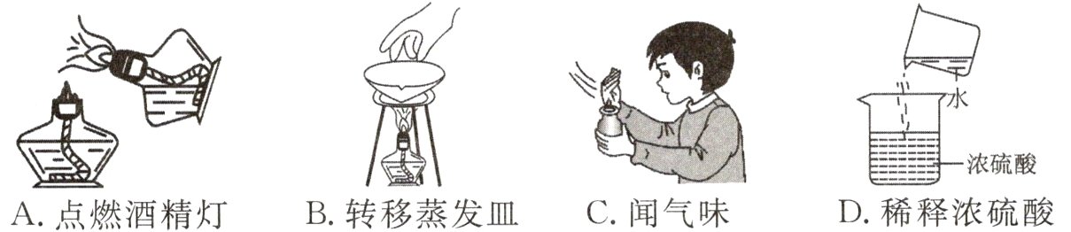 D稀释浓硫酸C闻气味B转移蒸发皿A点燃酒精灯