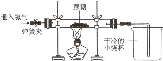 小烧杯乙
