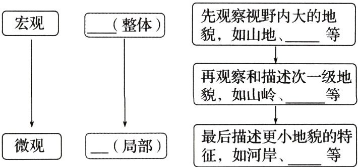 后猫鬶小地貌的特一局部微观