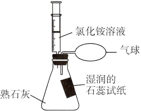 石蕊试纸熟石灰