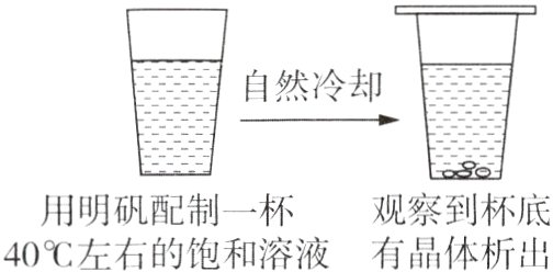 观察到杯底用明矾配制一杯40左右的饱和溶液有晶体析出