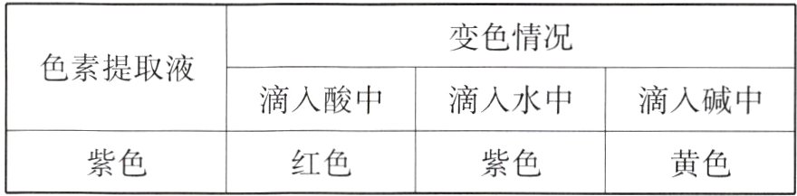 紫色红色紫色黄色