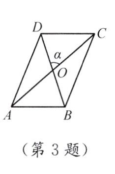 第3题
