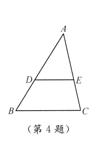 第4题