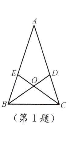 第1题