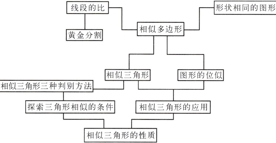 相似三角形的性质