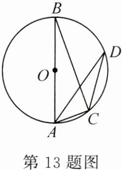 第13题图