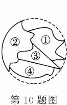 第10题图