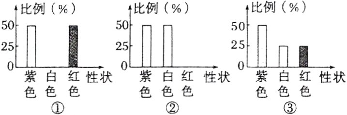 色色色色色色色色