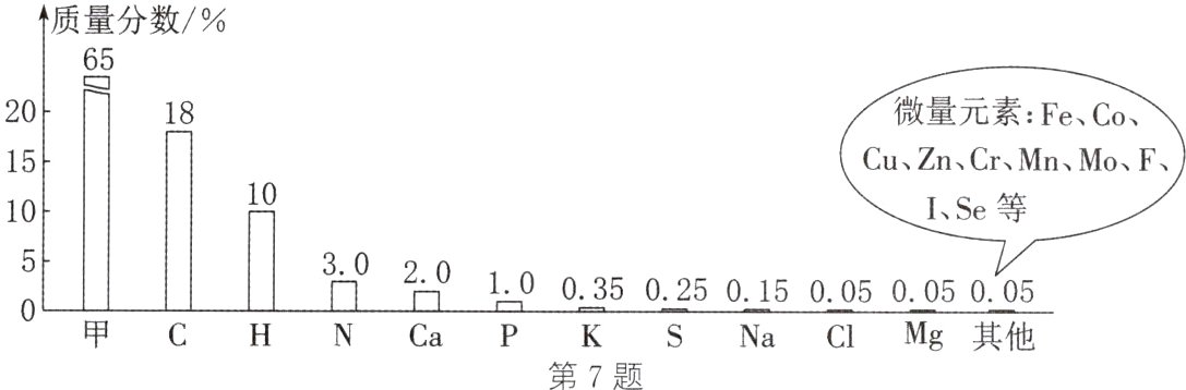 甲CHNCaPKSNaCIMg其他第7题