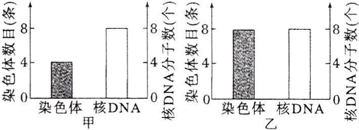 染0染色体核DNA00染色体核DNA