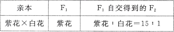 紫花白花紫花紫花白花151