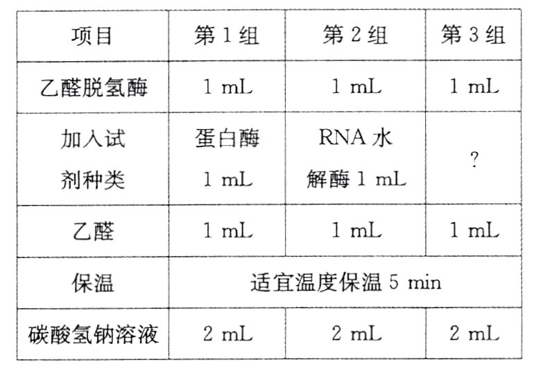 碳酸氢钠溶液2mL2mL2mL