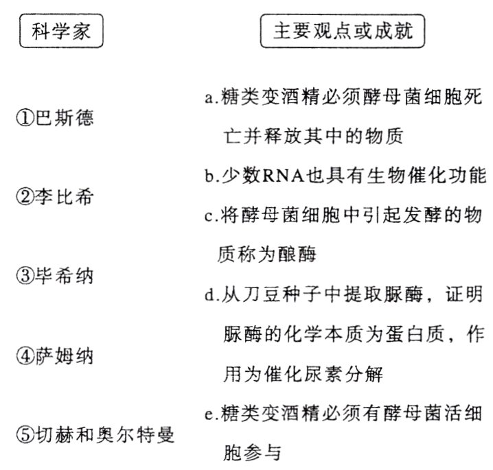 切赫和奥尔特曼胞参与