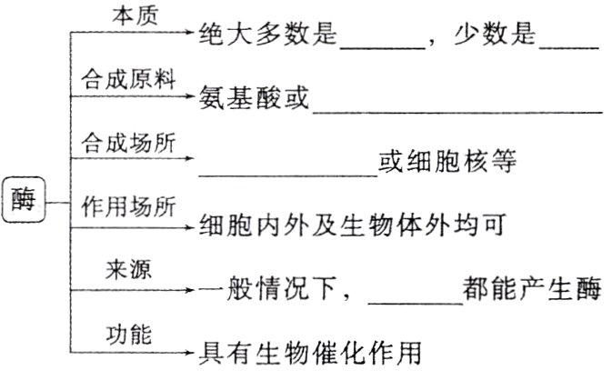 功能具有生物催化作用