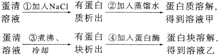 有蛋白蛋清煮沸加入蛋白酶蛋白块溶解块析出溶液冷却得到溶液乙