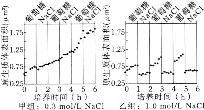 培养时间h5培养时间h