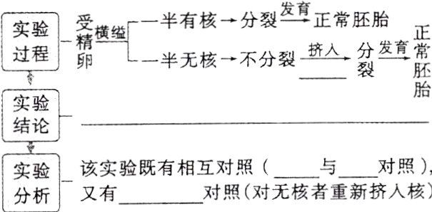实该实验既有相互对对与对照对照对无核者重新挤人核