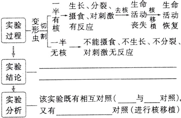 实验既有相互对用照与对照对照进行核移植