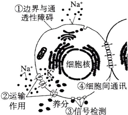 运输作用养分信号检测
