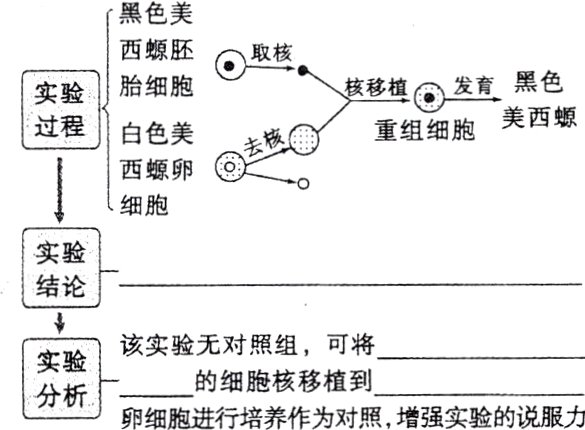 的细胞核移植到卵细胞进行培养作为对照增强实验的说服力