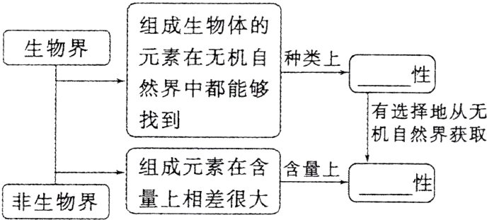 非生物界量上相差很大